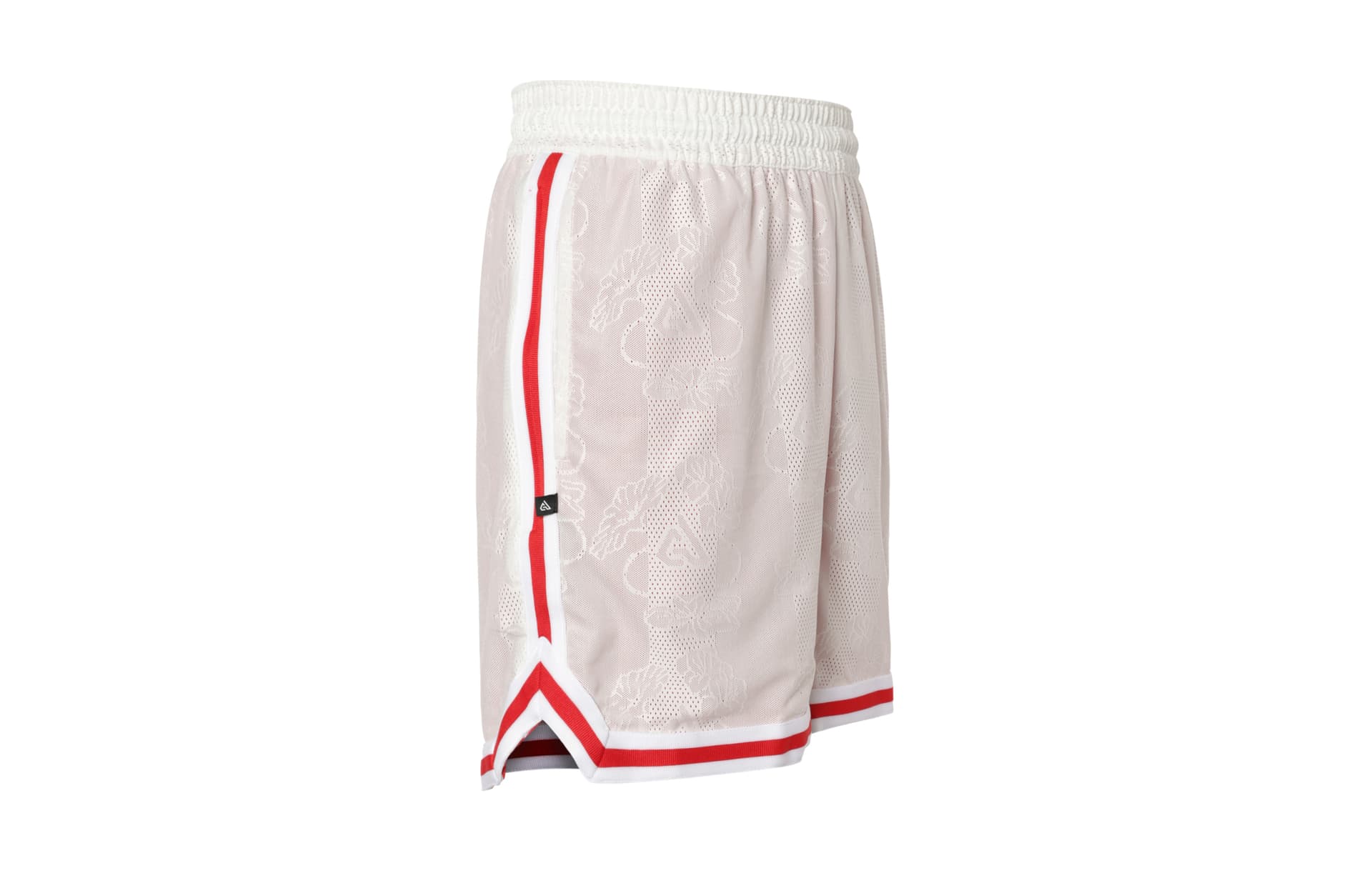 Баскетбольные шорты Nike Giannis Dri-FIT - изображение 2
