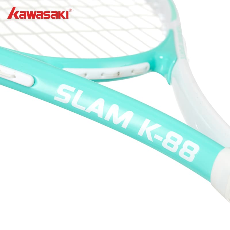 Kawasaki 285g - изображение 5