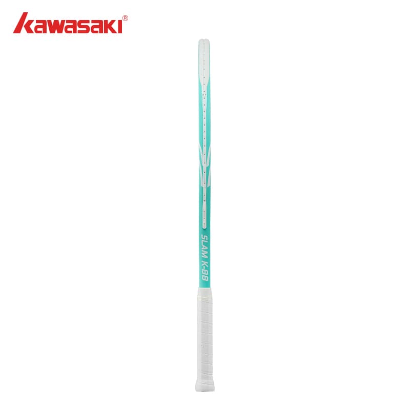 Kawasaki 285g - изображение 2