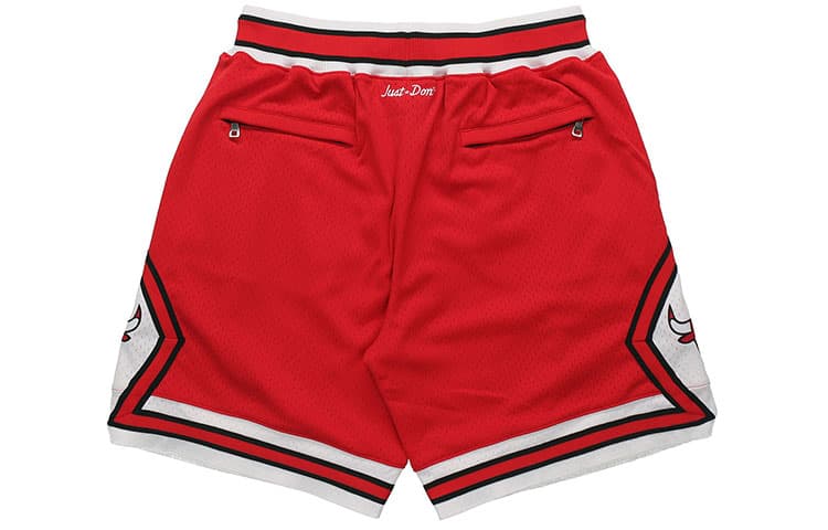Баскетбольные шорты Mitchell Ness x Just Don SS22 Logo SW 97-98 - изображение 2