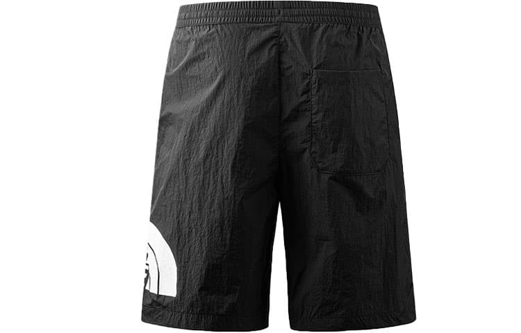 Шорты THE NORTH FACE 23SS Logo - изображение 2