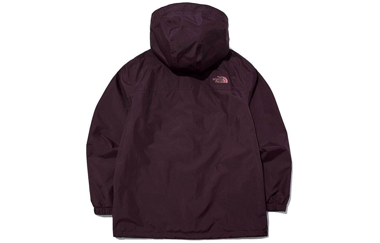 Демисезонная куртка THE NORTH FACE Logo - изображение 2