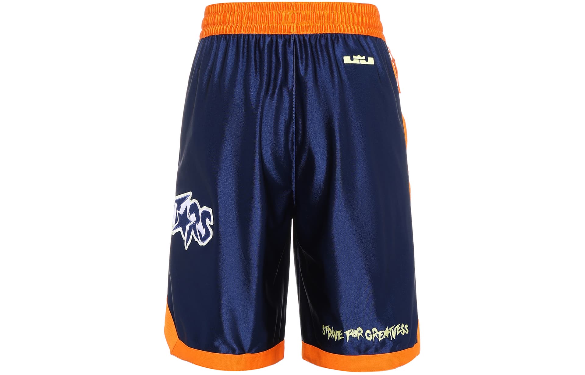 Баскетбольные шорты Nike LeBron x Monstars DNA Shorts - изображение 4