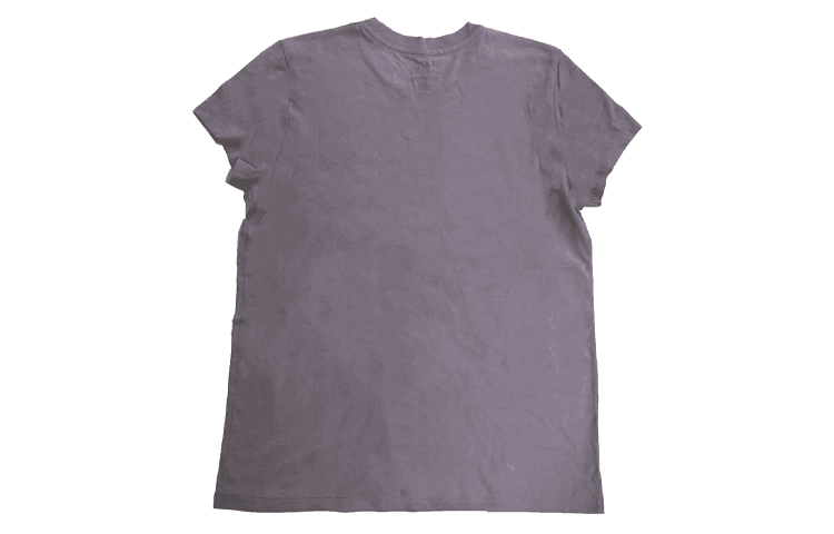 Футболка Polo Ralph Lauren SS23 LogoT - изображение 2