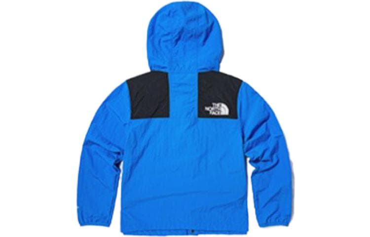 THE NORTH FACE Logo - изображение 2