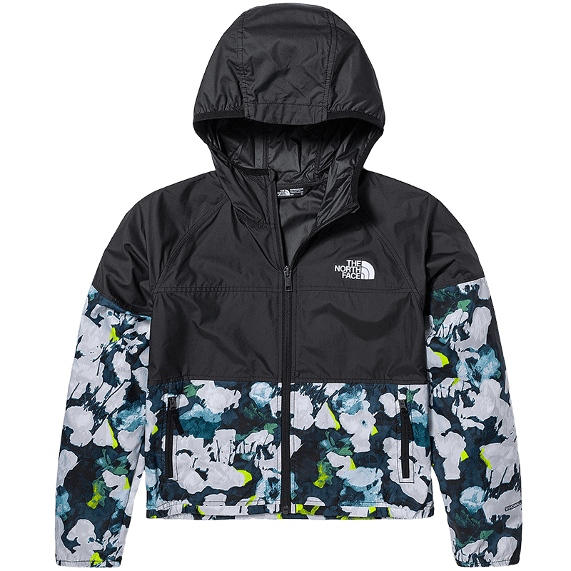 THE NORTH FACE Logo - изображение 2