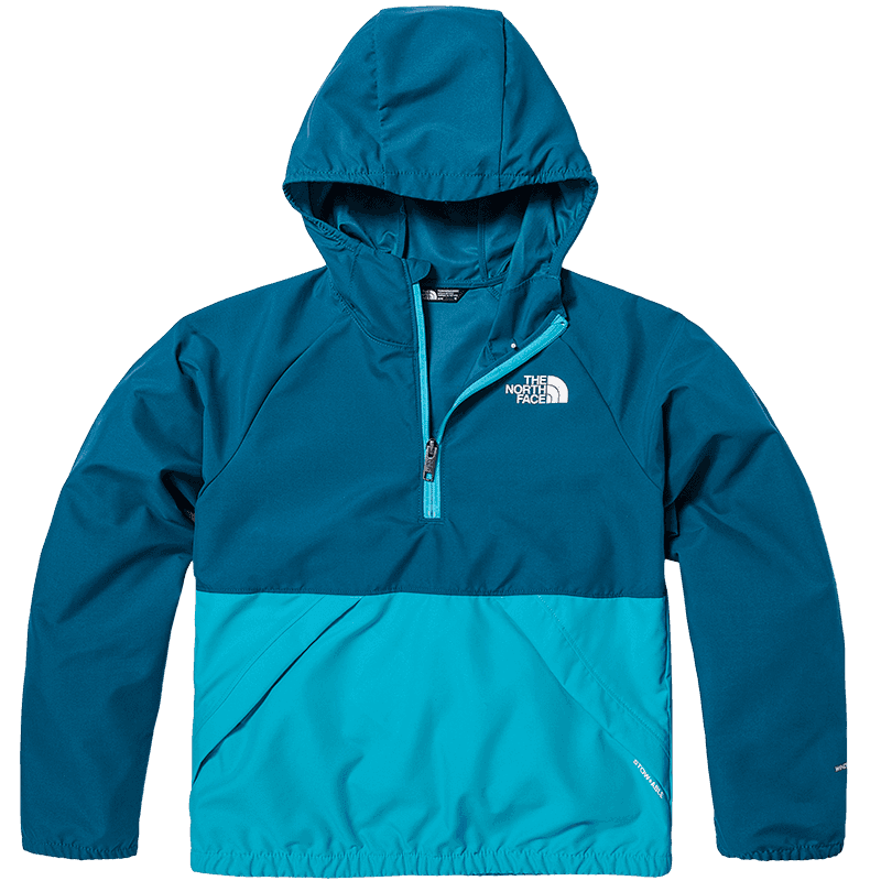 THE NORTH FACE Logo - изображение 2
