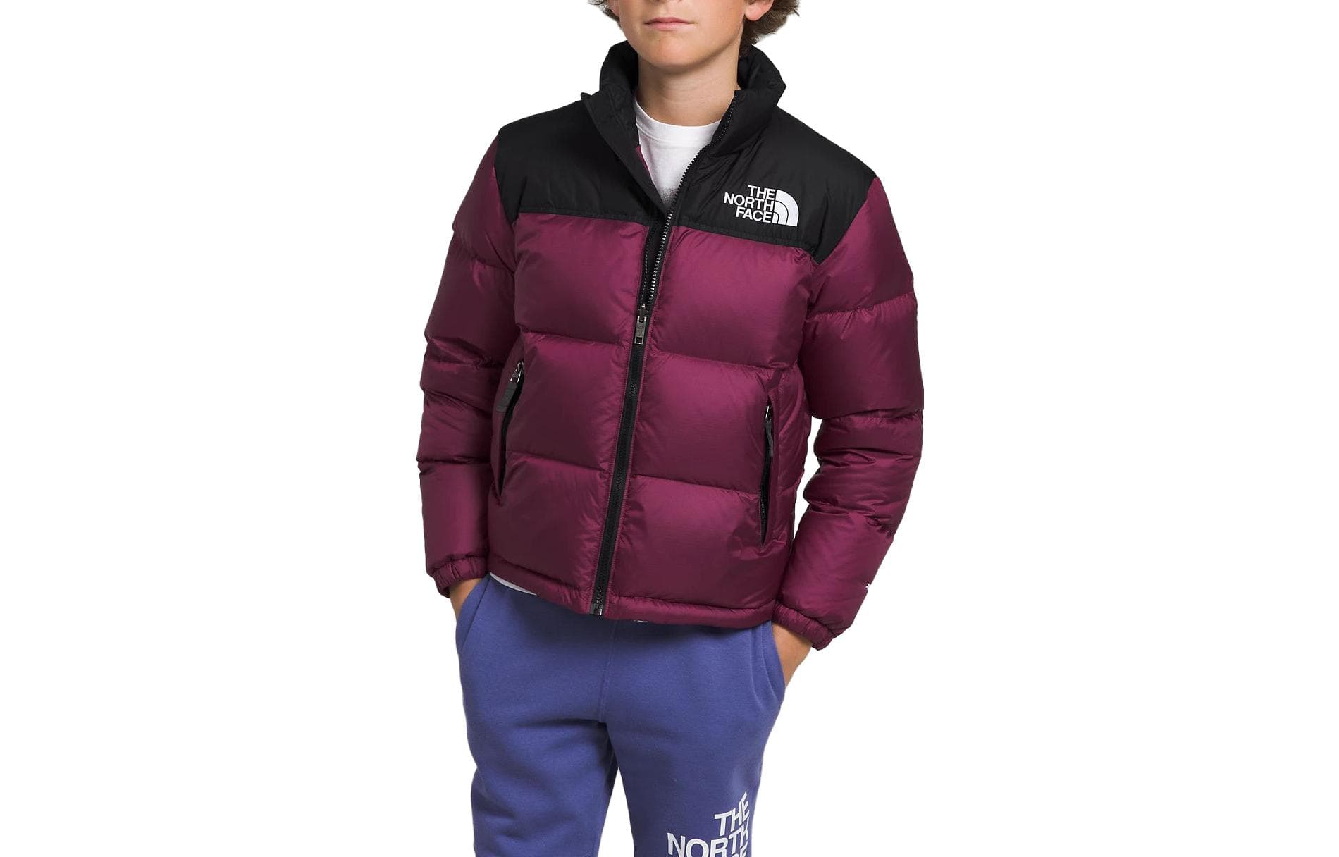 THE NORTH FACE 1996 Retro Nuptse Jacket - изображение 2
