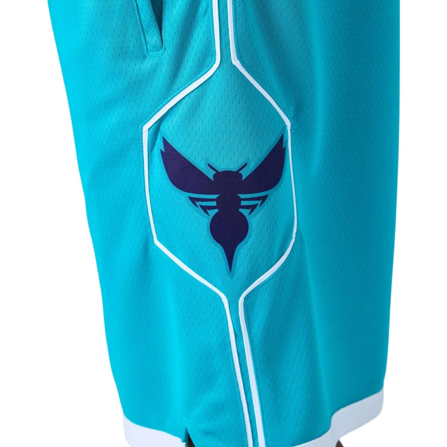 Баскетбольные шорты Jordan NBA Charlotte Hornets Shorts - изображение 4