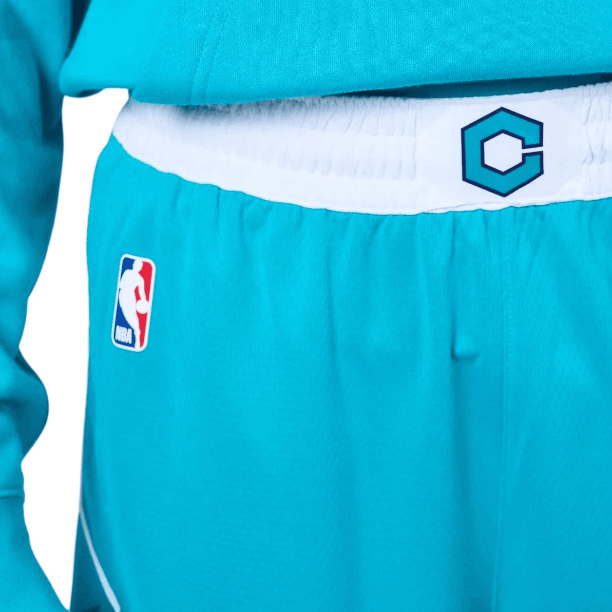 Баскетбольные шорты Jordan NBA Charlotte Hornets Shorts - изображение 5