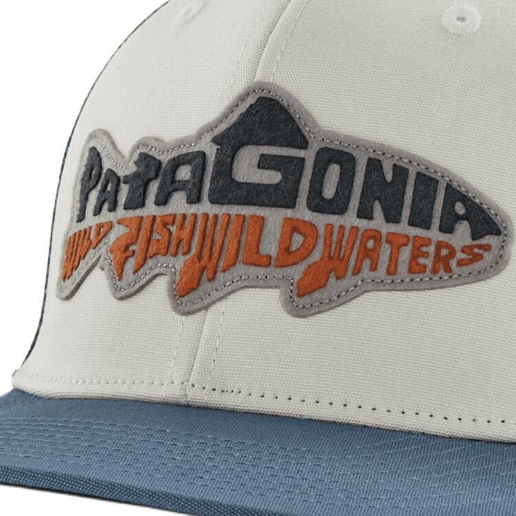 Кепка Patagonia Хлопковые Холщовые Кепки Мужские Синие - изображение 3