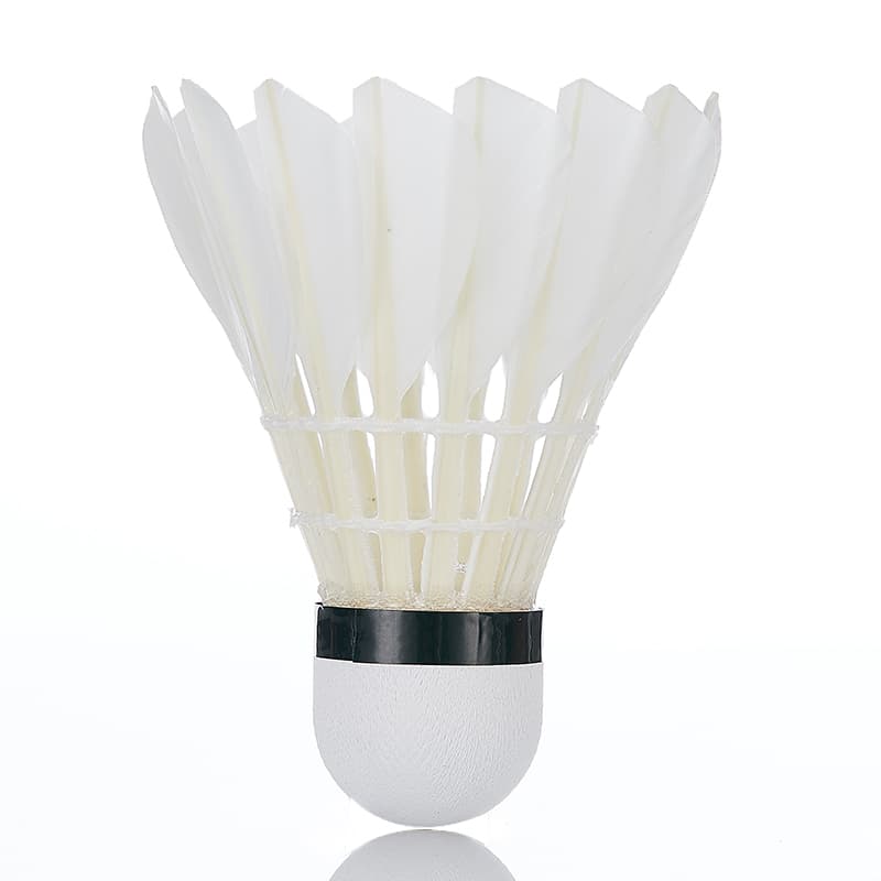 Кавасаки Selected Badminton Collection Воланы - изображение 3