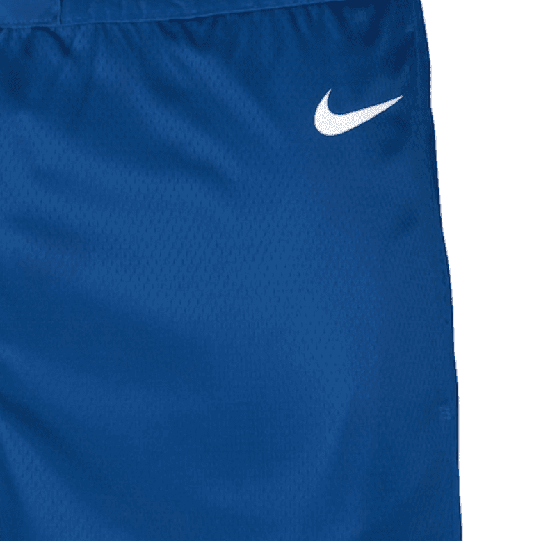 Баскетбольные шорты Nike Minnesota Swingman 202324 Logo - изображение 3