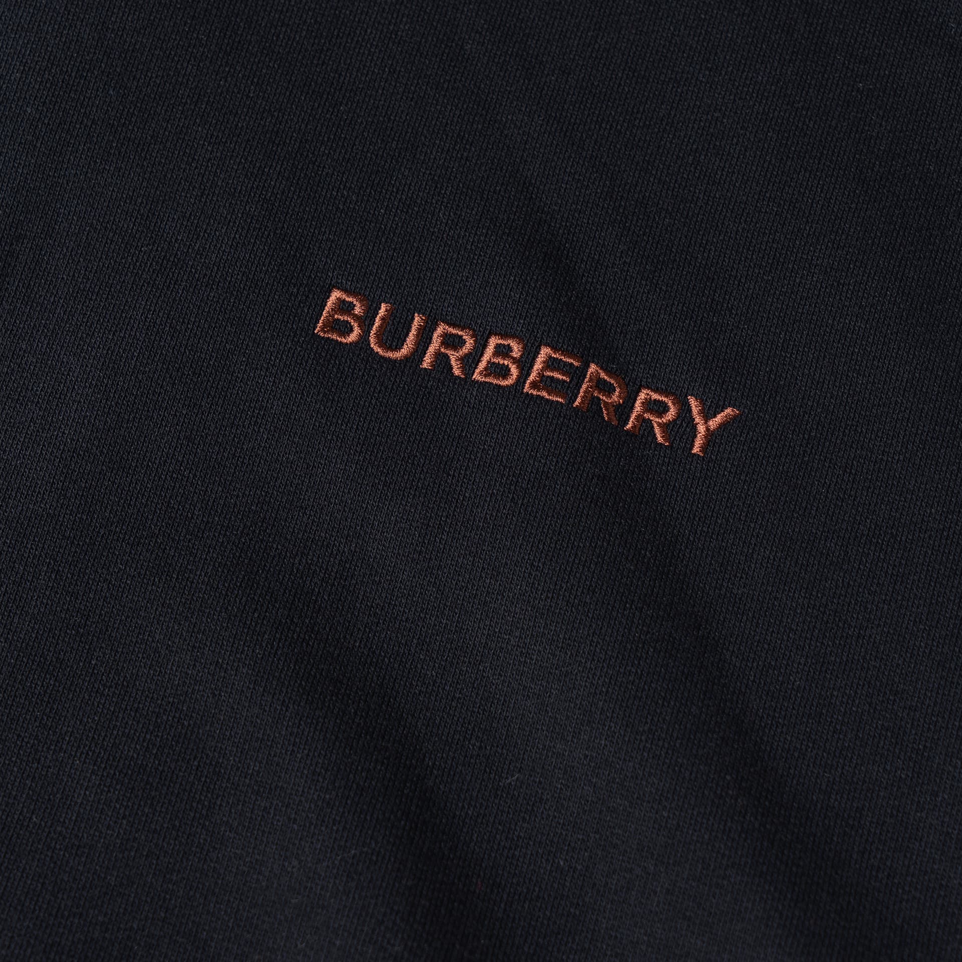 Худи Burberry FW22 Logo - изображение 3