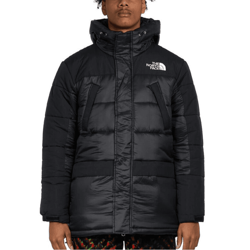 Зимняя куртка The North Face - изображение 2