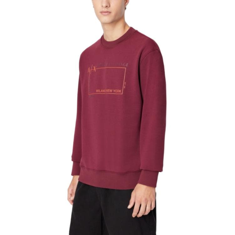 Худи ARMANI EXCHANGE FW22 Logo - изображение 4