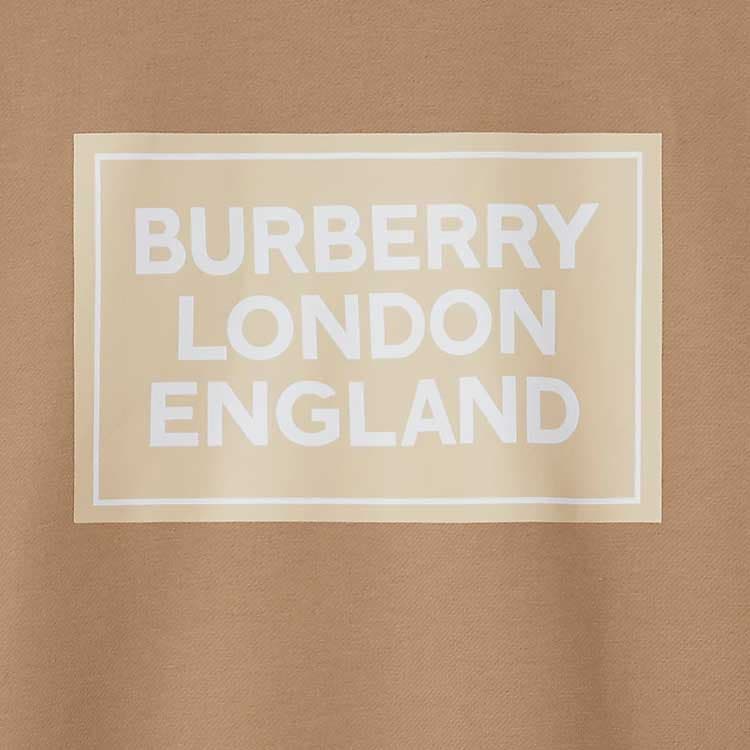 Худи Burberry SS24 Logo - изображение 4