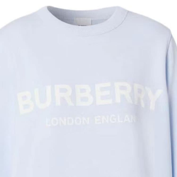 Худи Burberry SS23 Logo - изображение 5