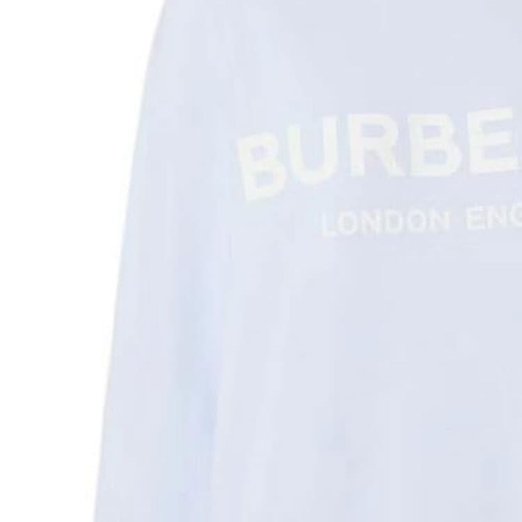 Худи Burberry SS23 Logo - изображение 6
