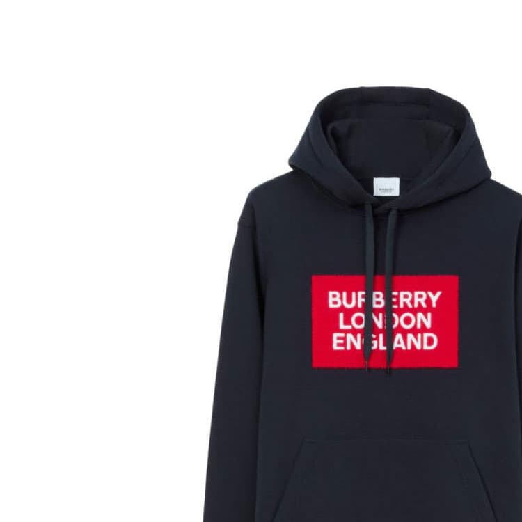 Худи Burberry FW22 Logo - изображение 6