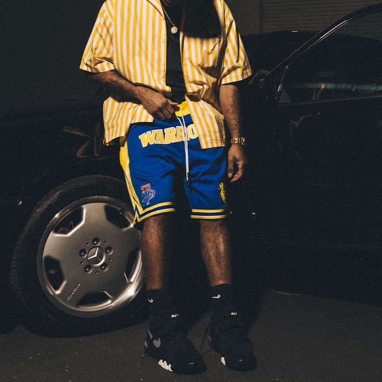 Баскетбольные шорты Mitchell Ness x Just Don SS23 1993-94Logo - изображение 4
