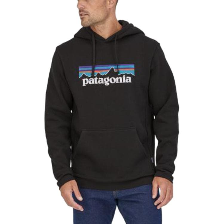 Худи Patagonia Logo Hoodie - изображение 2