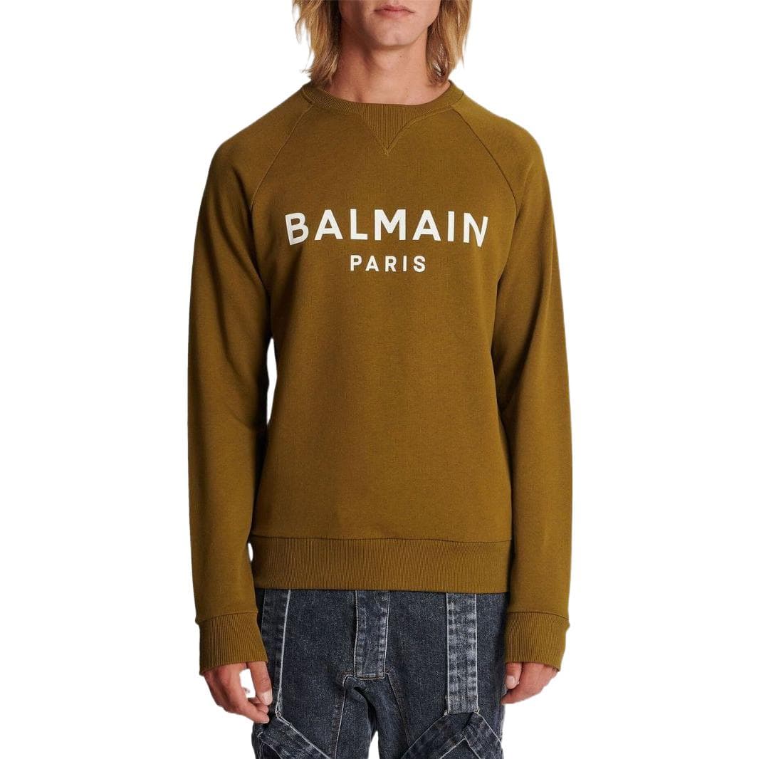 Кофта Balmain FW22 Logo Crewneck Sweatshirt Brown — фото 2