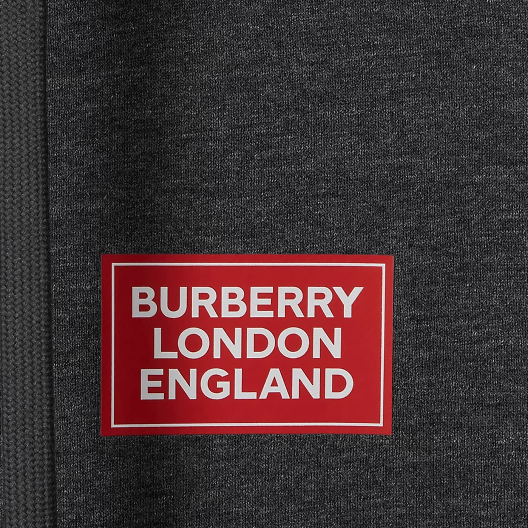 Худи Burberry Logo - изображение 4