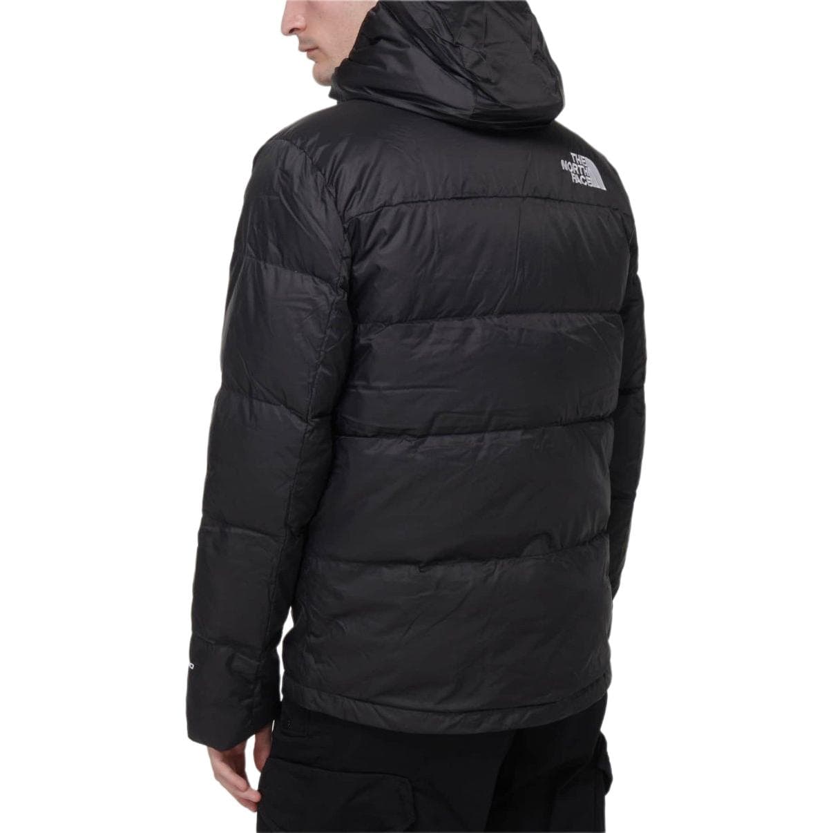 Зимняя куртка The North Face - изображение 6