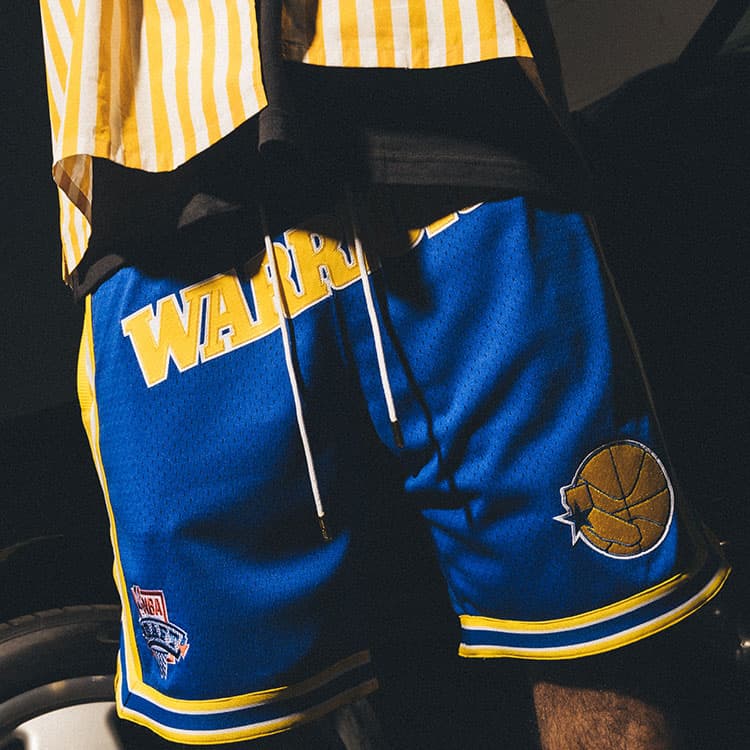 Баскетбольные шорты Mitchell Ness x Just Don SS23 1993-94Logo - изображение 3