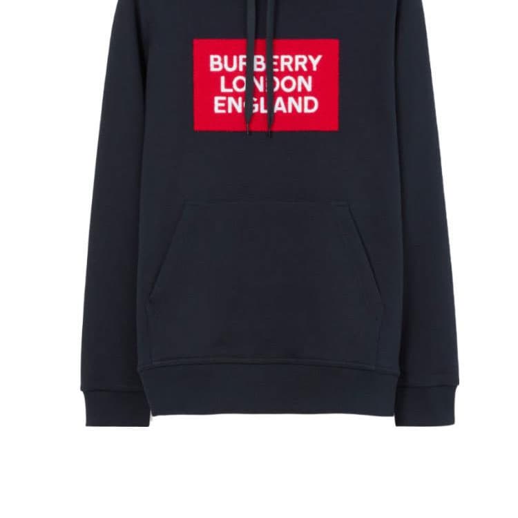 Худи Burberry FW22 Logo - изображение 3
