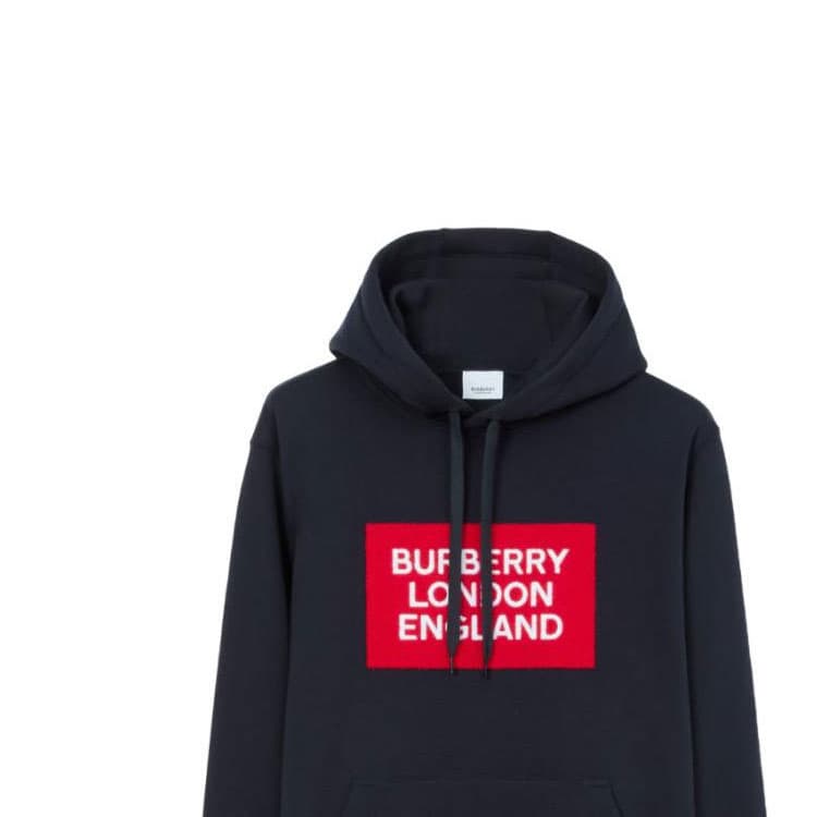 Худи Burberry FW22 Logo - изображение 4