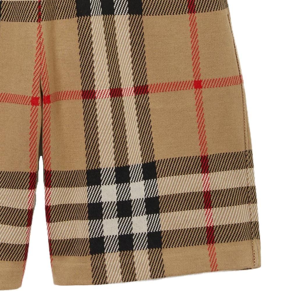 Шорты Burberry SS23 Check Elastic Waist Shorts Khaki - изображение 5