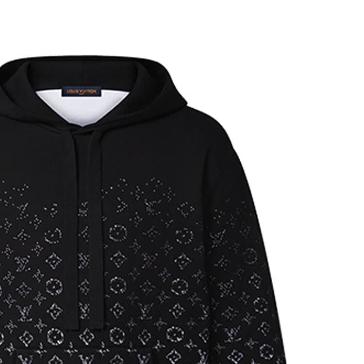 Худи LOUIS VUITTON FW22 Monogram - изображение 6