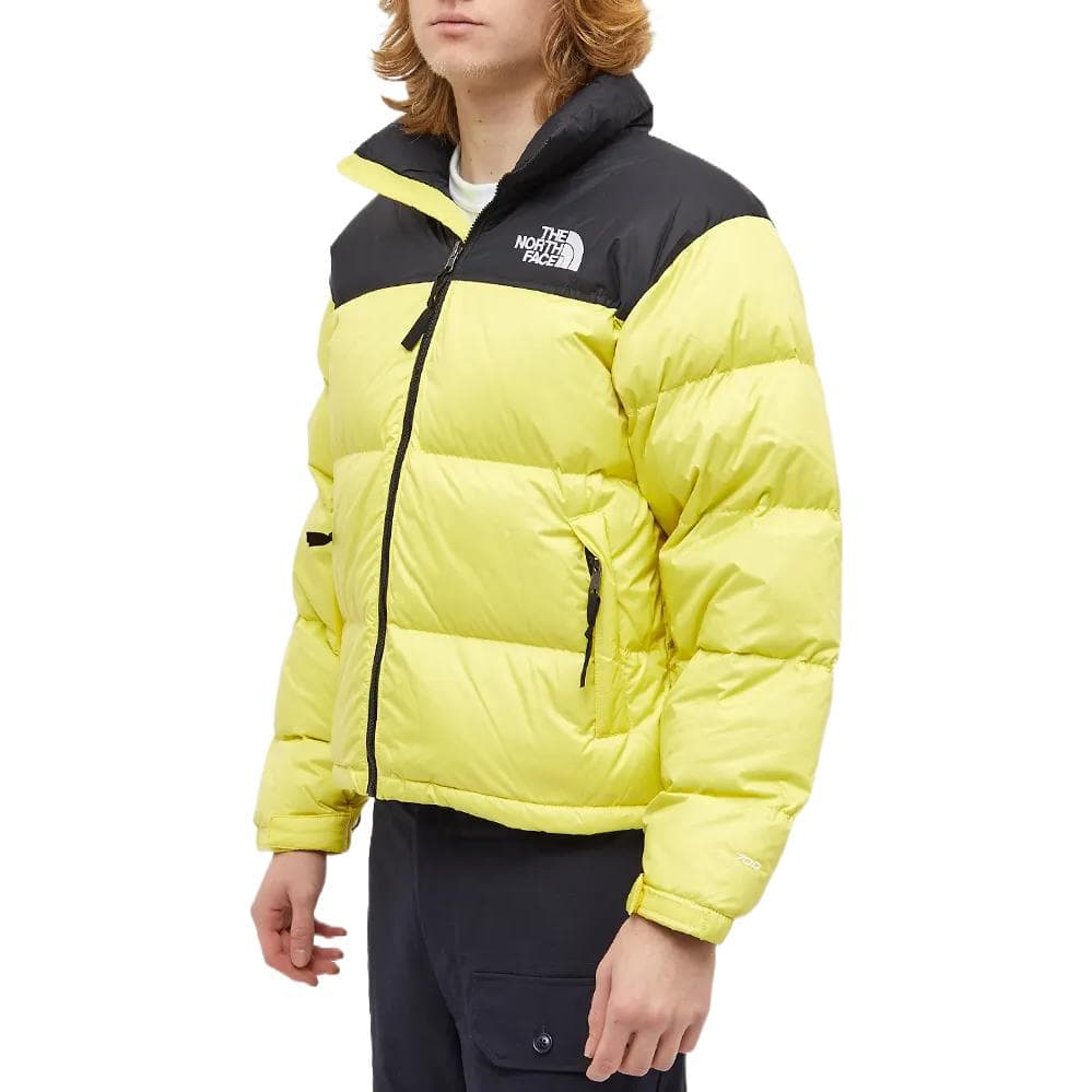 Зимняя куртка The North Face 1996 Logo Down Jacket - изображение 4