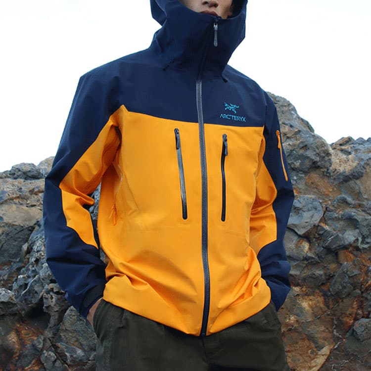 Демисезонная куртка Arcteryx Alpha sv Logo - изображение 2