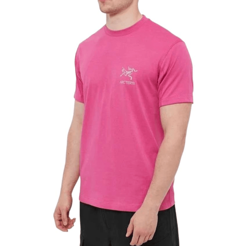 Футболка Arcteryx SYSTEM_A Copal Bird T-shirt Men's LogoT - изображение 2