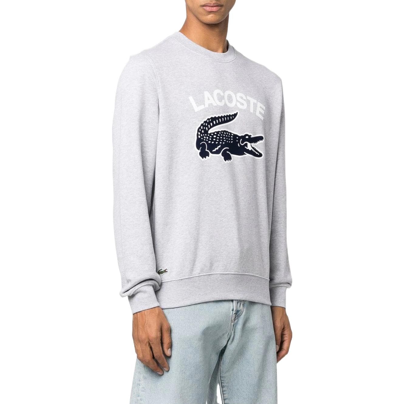 Худи LACOSTE FW22 Logo - изображение 4