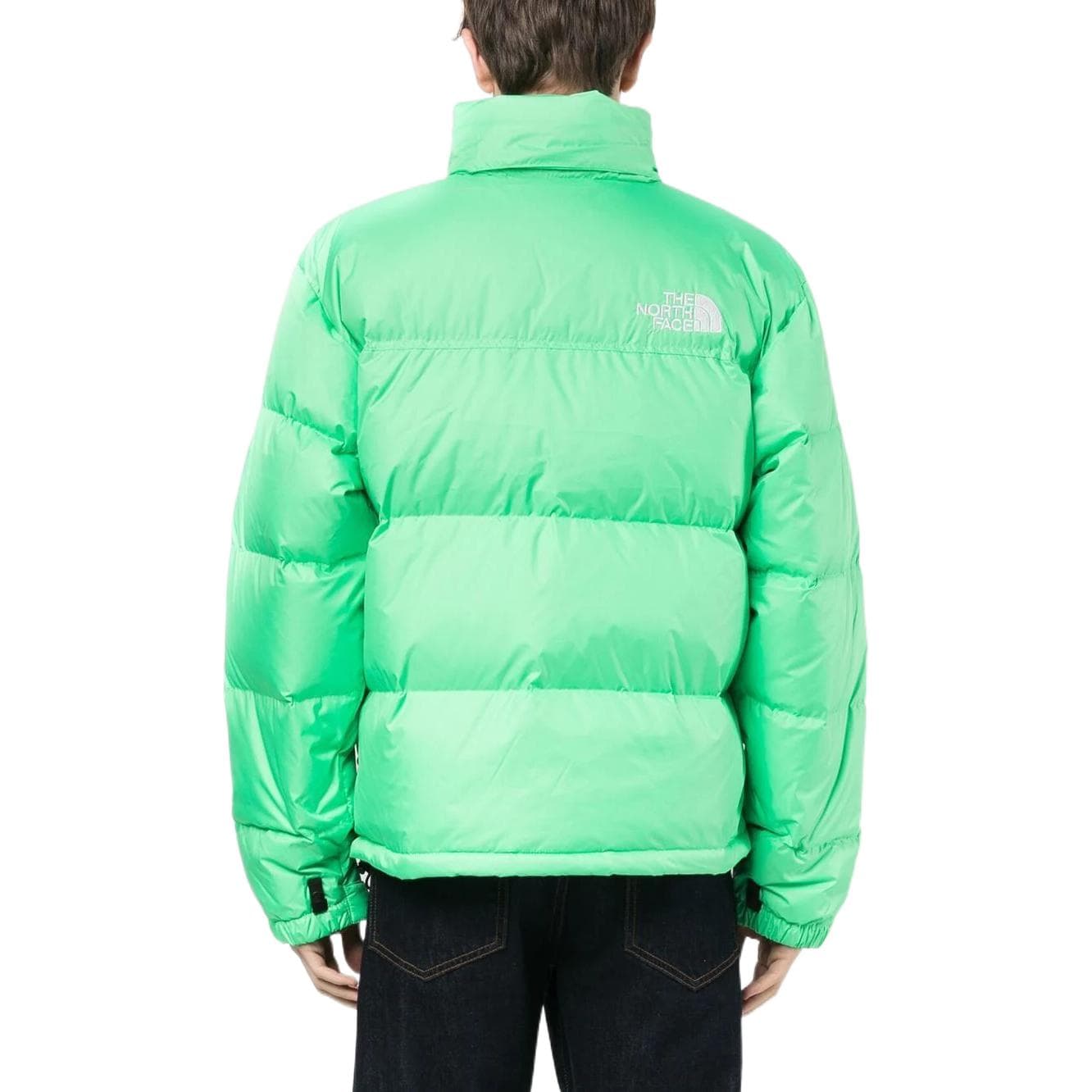 Зимняя куртка The North Face 1996 Series 700 Down Jacket Green - изображение 5