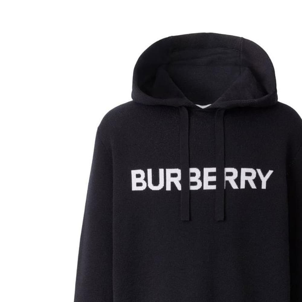 Худи Burberry FW22 Logo - изображение 5