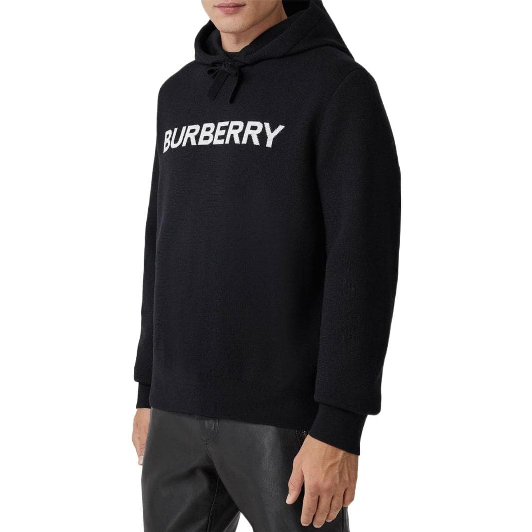 Худи Burberry FW22 Logo - изображение 4