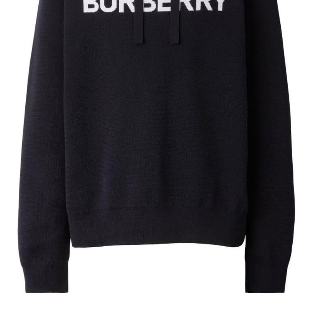 Худи Burberry FW22 Logo - изображение 6