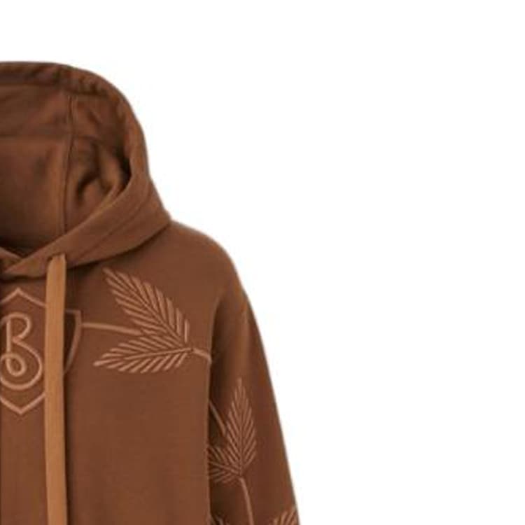 Худи Burberry FW22 Logo - изображение 7