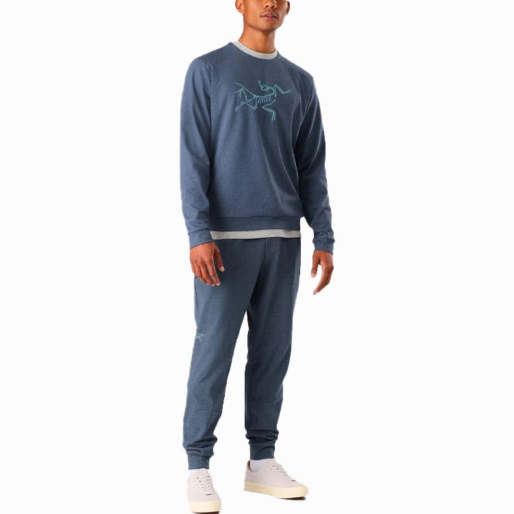 Штаны Arcteryx Emblem Mentum Bird Jogger Men's - изображение 5