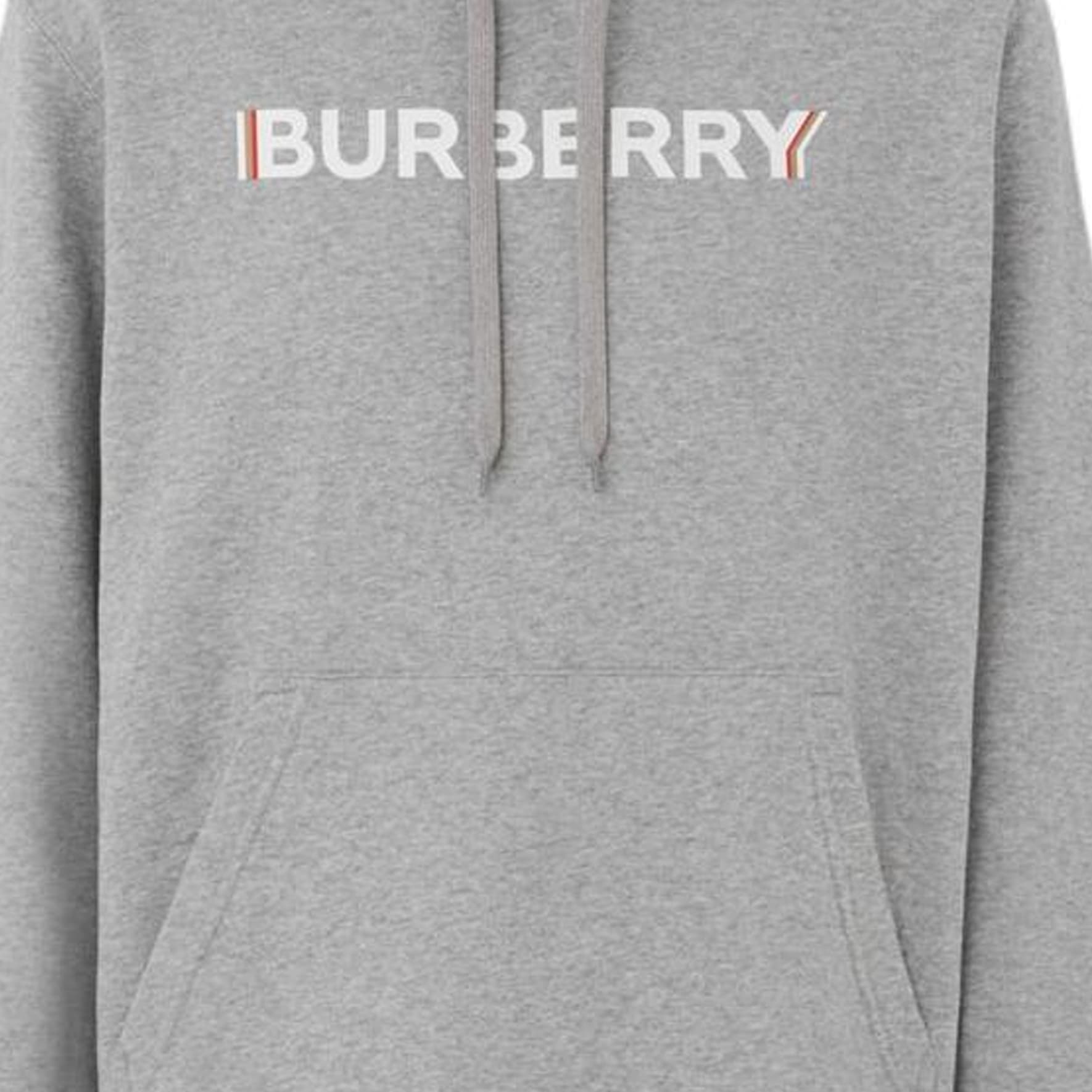 Кофта Burberry SS22 Logo Crewneck Sweatshirt Grey - изображение 9