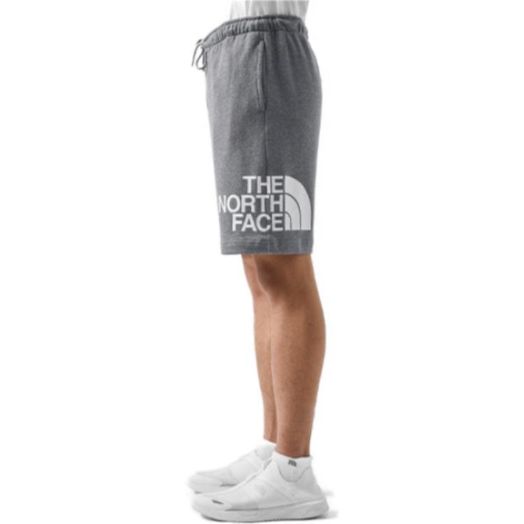 Тренировочные штаны THE NORTH FACE SS23 Logo - изображение 5