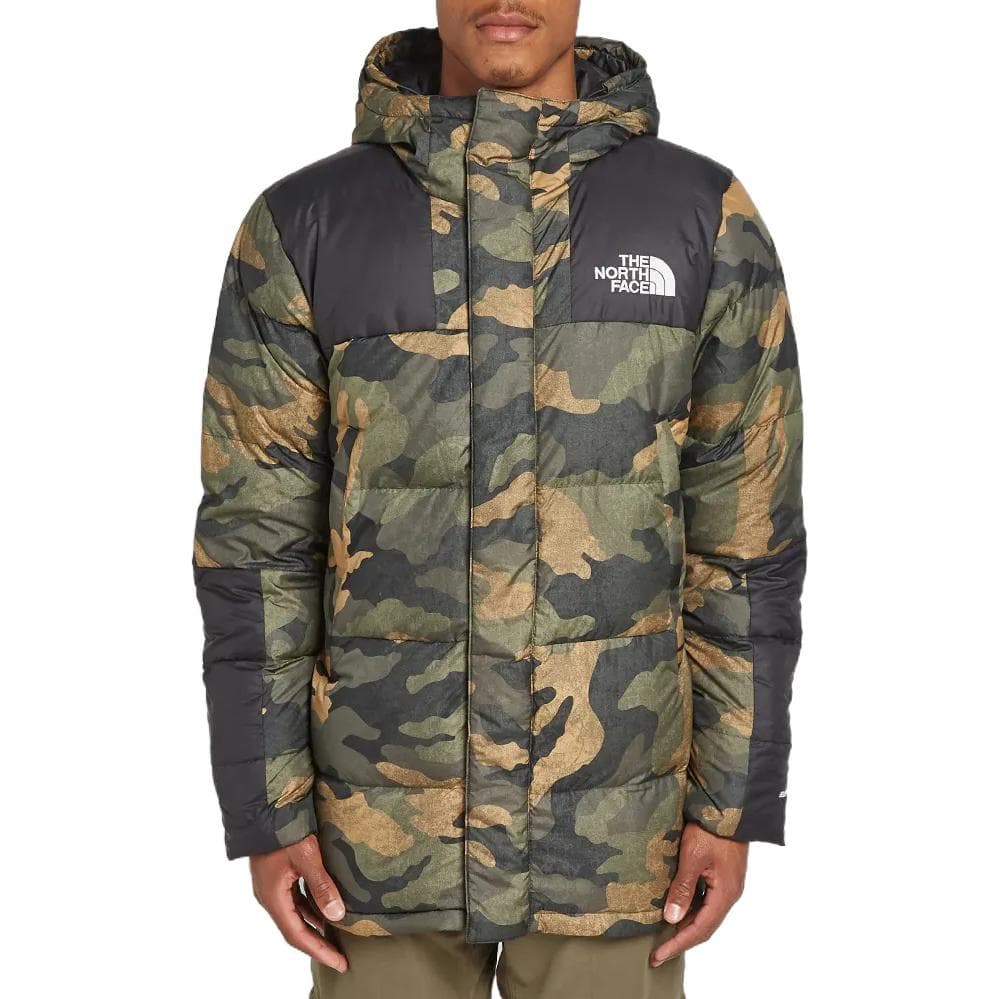 Зимняя куртка THE NORTH FACE Logo - изображение 2
