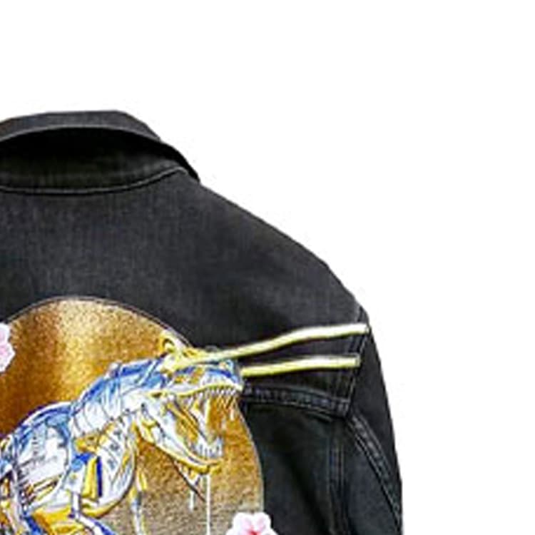 Джинсовая куртка DIOR x Sorayama Embroidered Denim Jacket - изображение 5