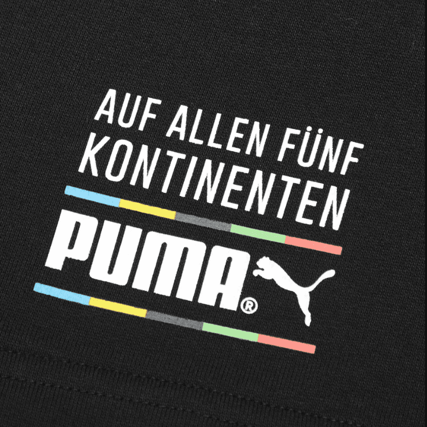 Тренировочные штаны Puma TFS Worldhood Shorts - изображение 3