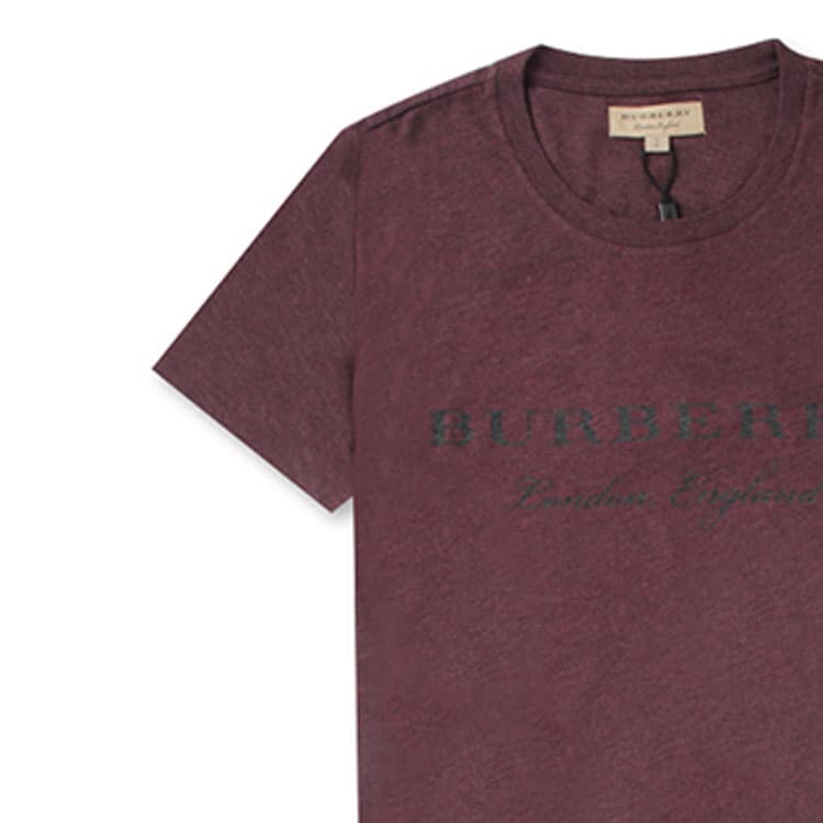 Футболка Burberry SS21 LogoT - изображение 4